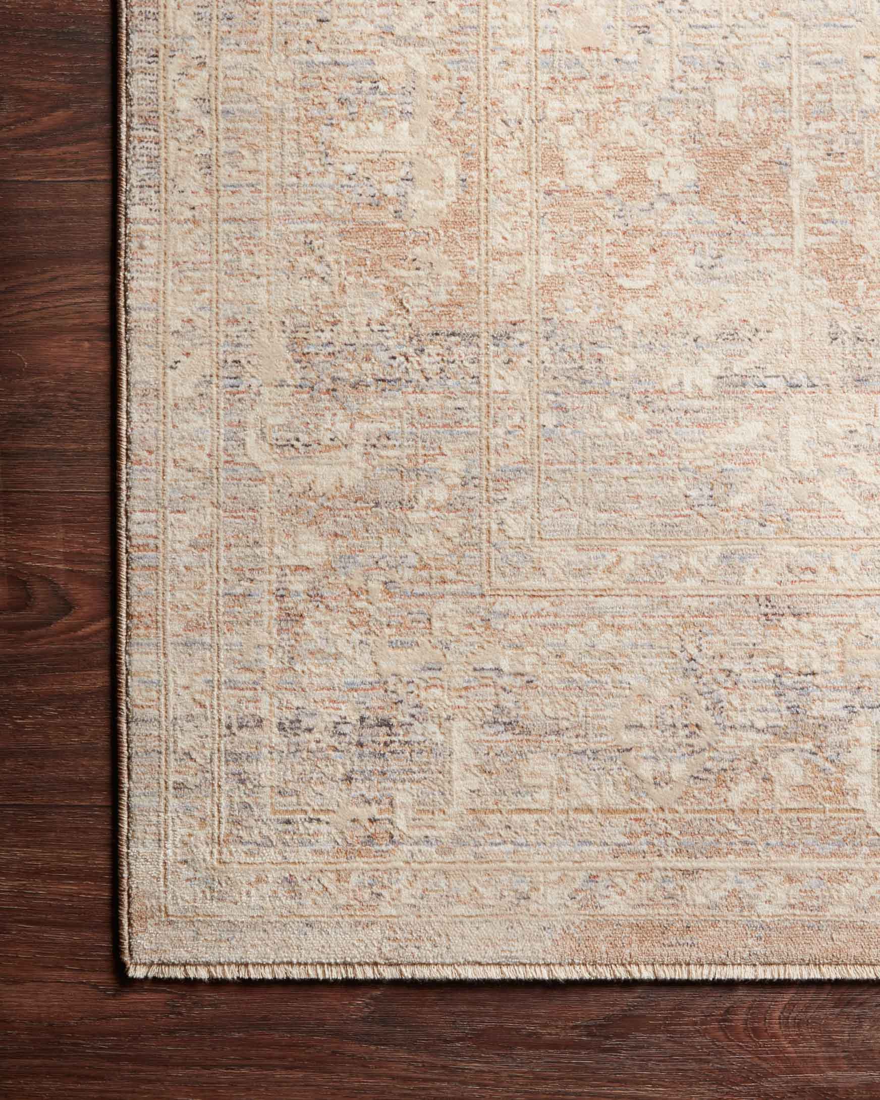 Faye Area Rug Beige / Blue