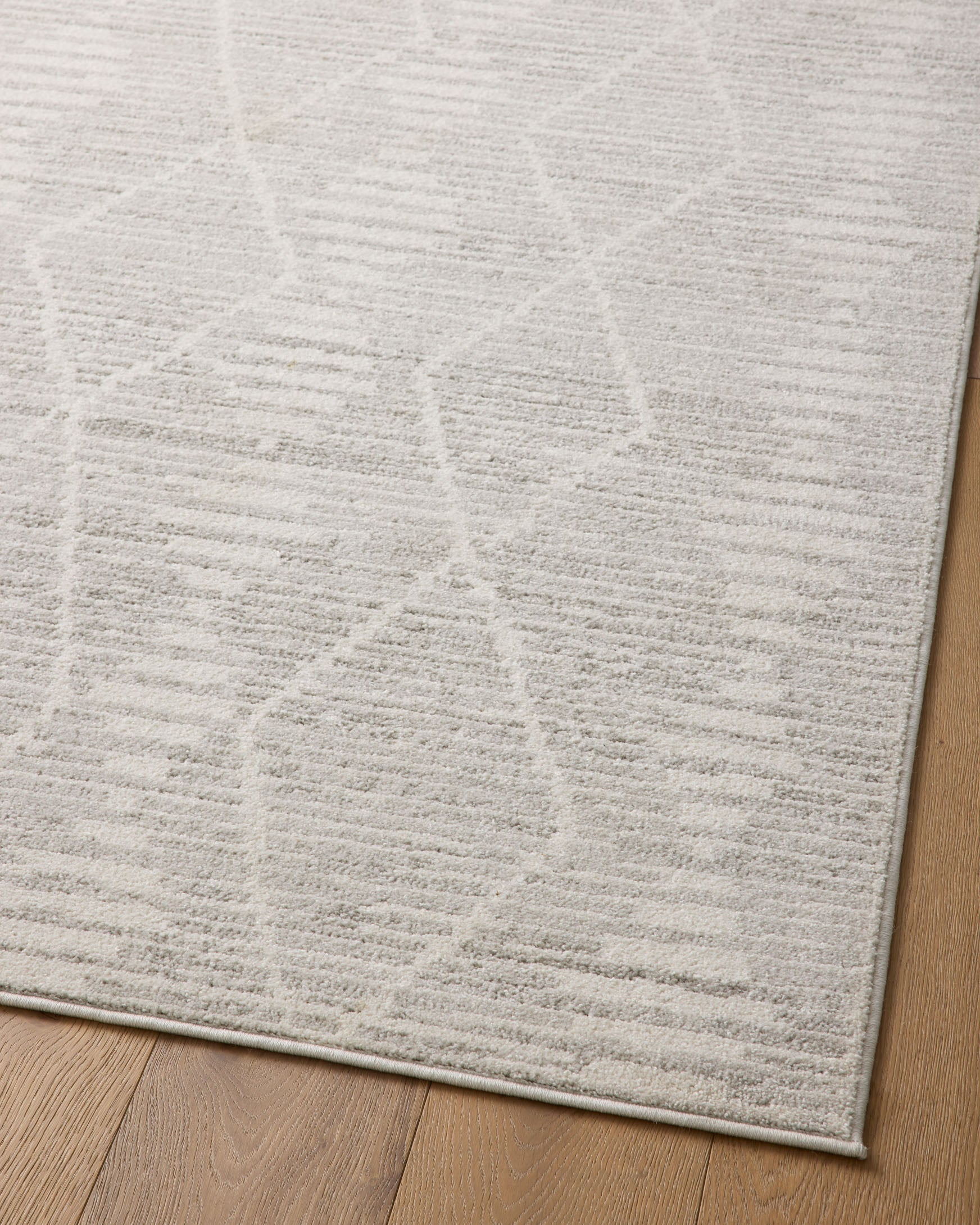 Kamala Area Rug Ivory / Silver