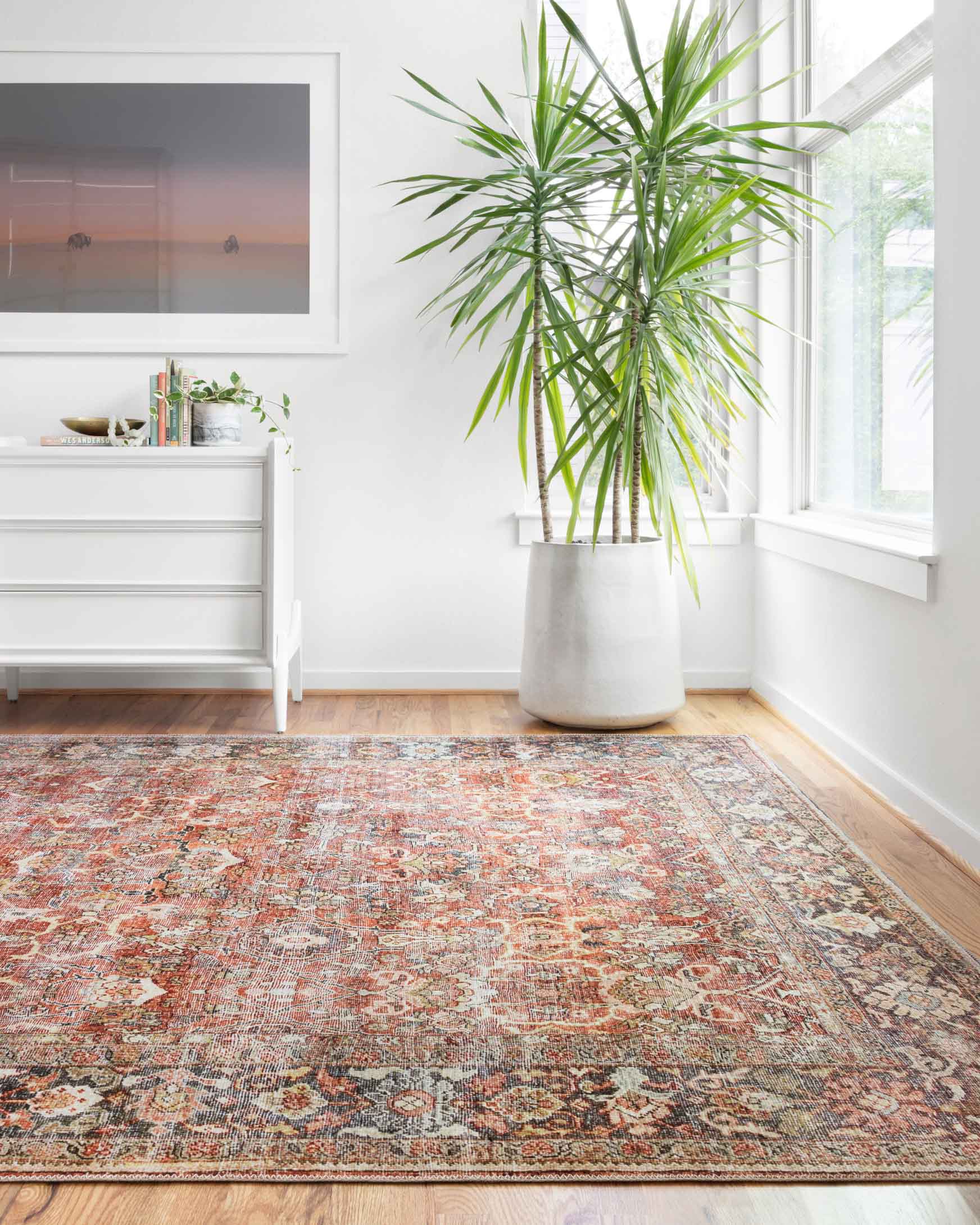 Layla Area Rug Spice / Marine