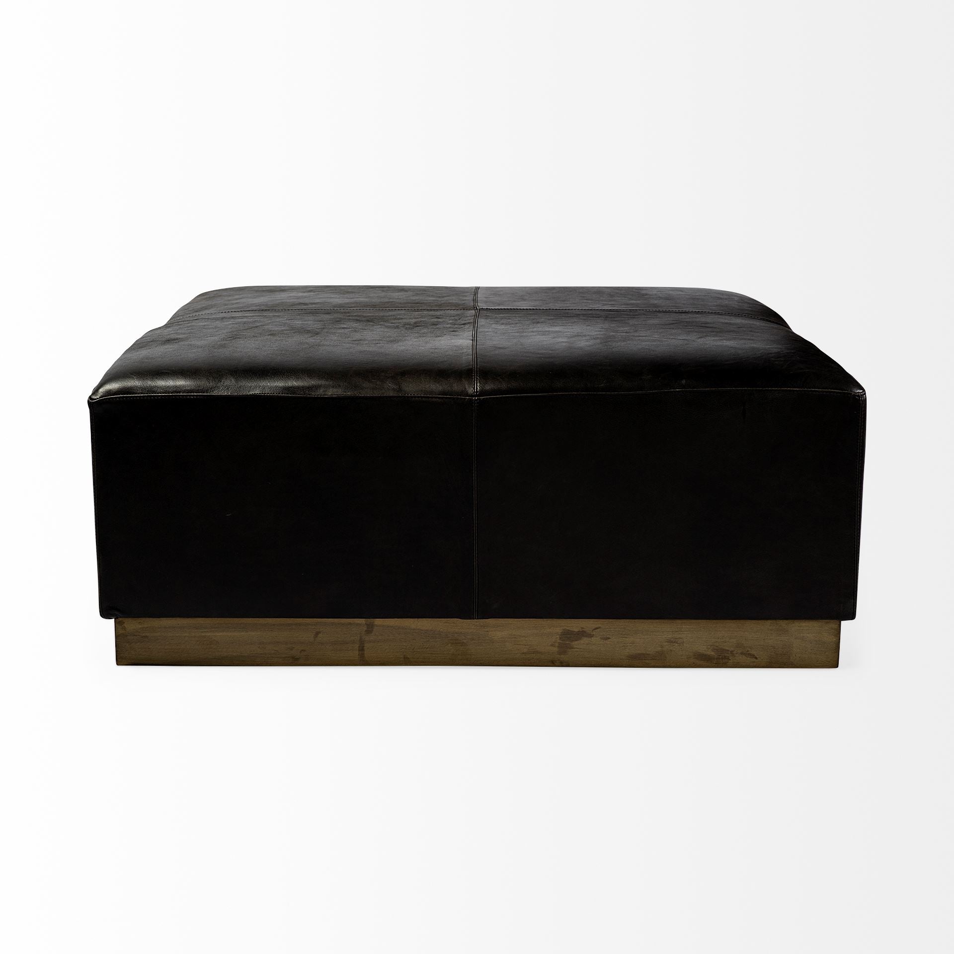 Minara Leather Ottoman | Coffee Table- Brass Base