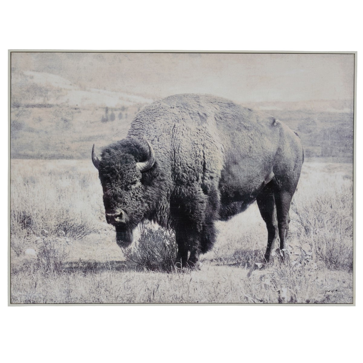 North Range | Buffalo Art