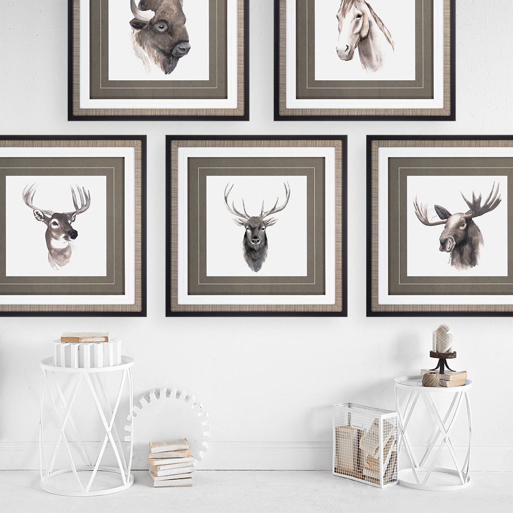 Western Animal Study V | Framed Stag Print