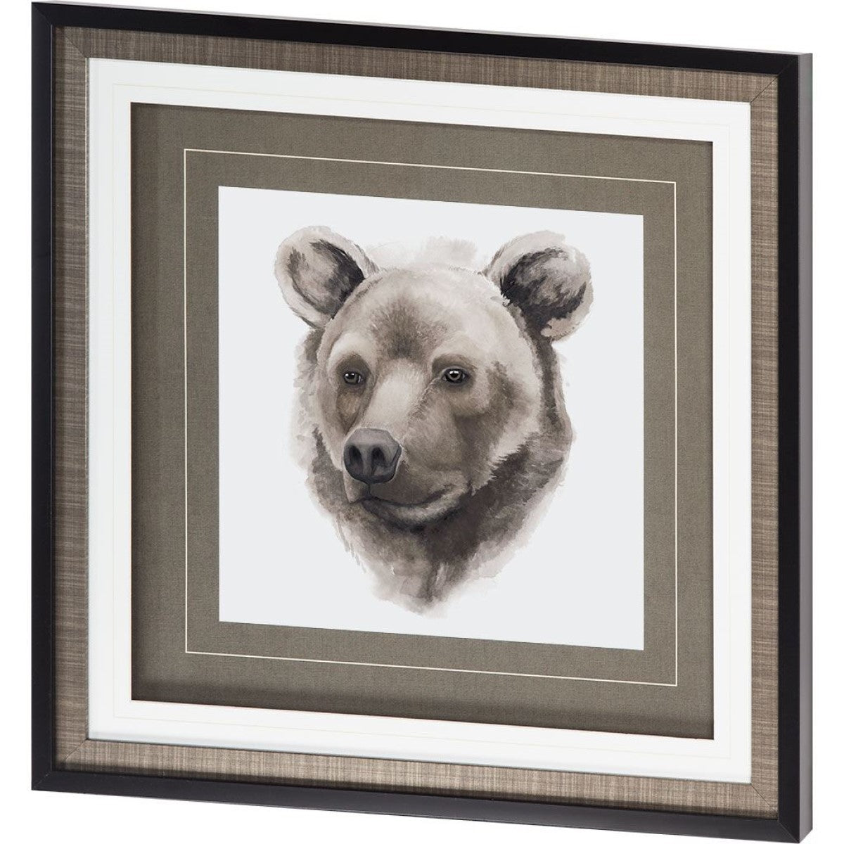 Western Animal Study I | Framed Bear Art