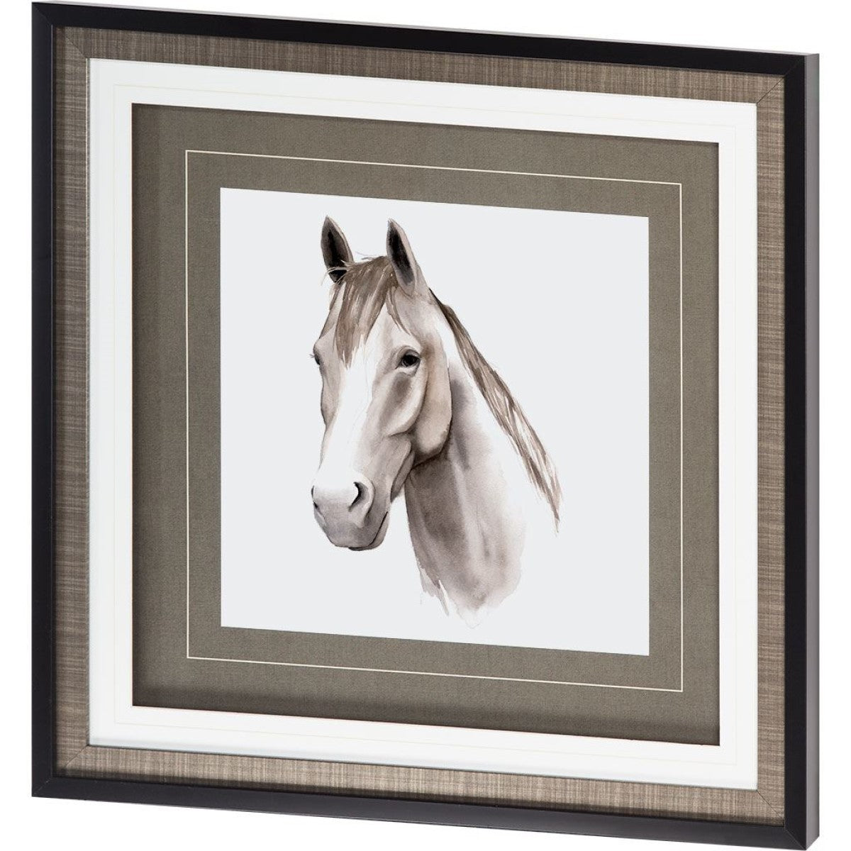 Western Animal Study II | Framed Horse Art