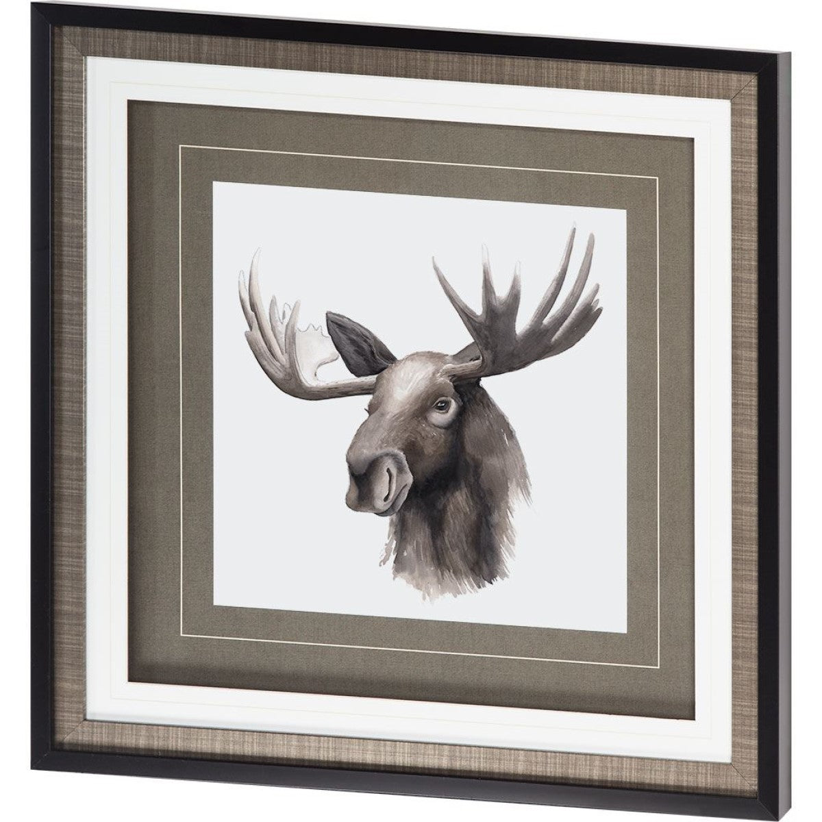 Western Animal Study III | Framed Moose Print