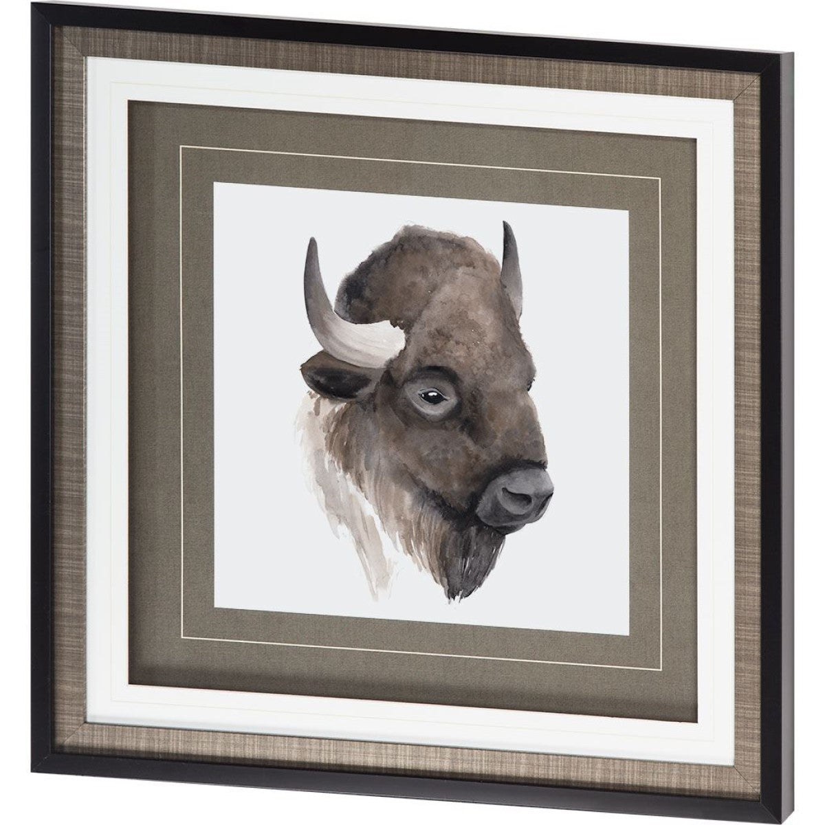 Western Animal Study IV | Buffalo Framed Art