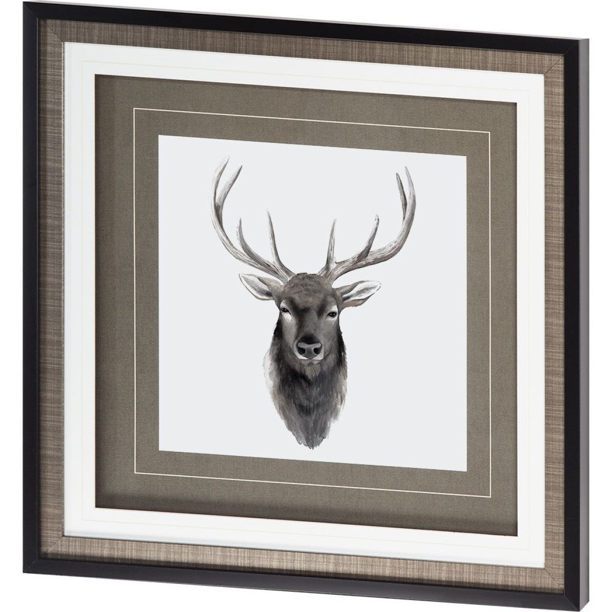 Western Animal Study V | Framed Stag Print