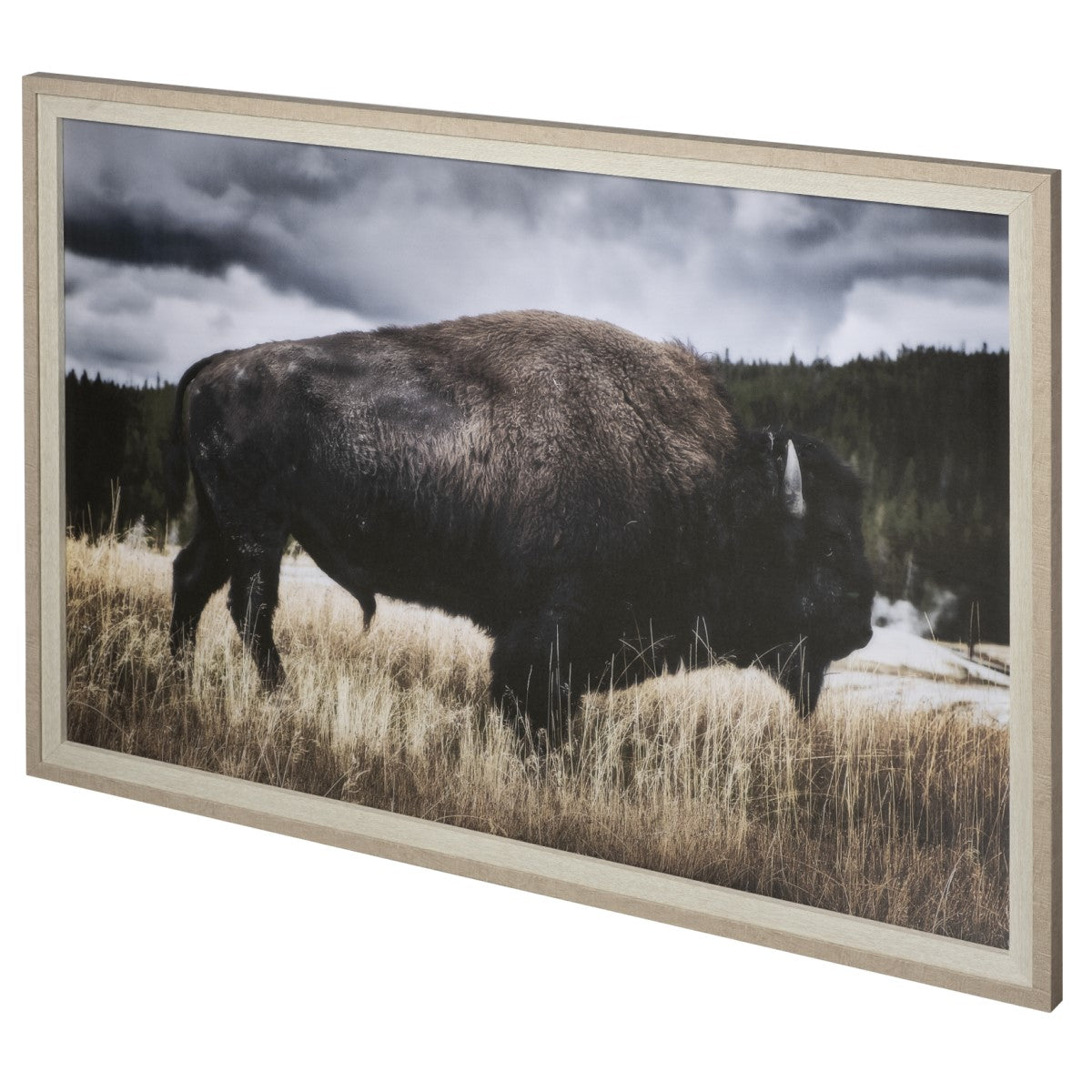 Yellowstone Bison | Framed Buffalo Art